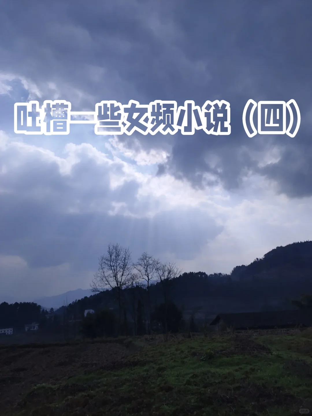吐槽一些女频小说（四）