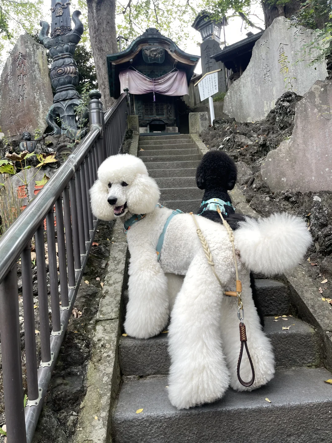 我小宝笑起来真好看