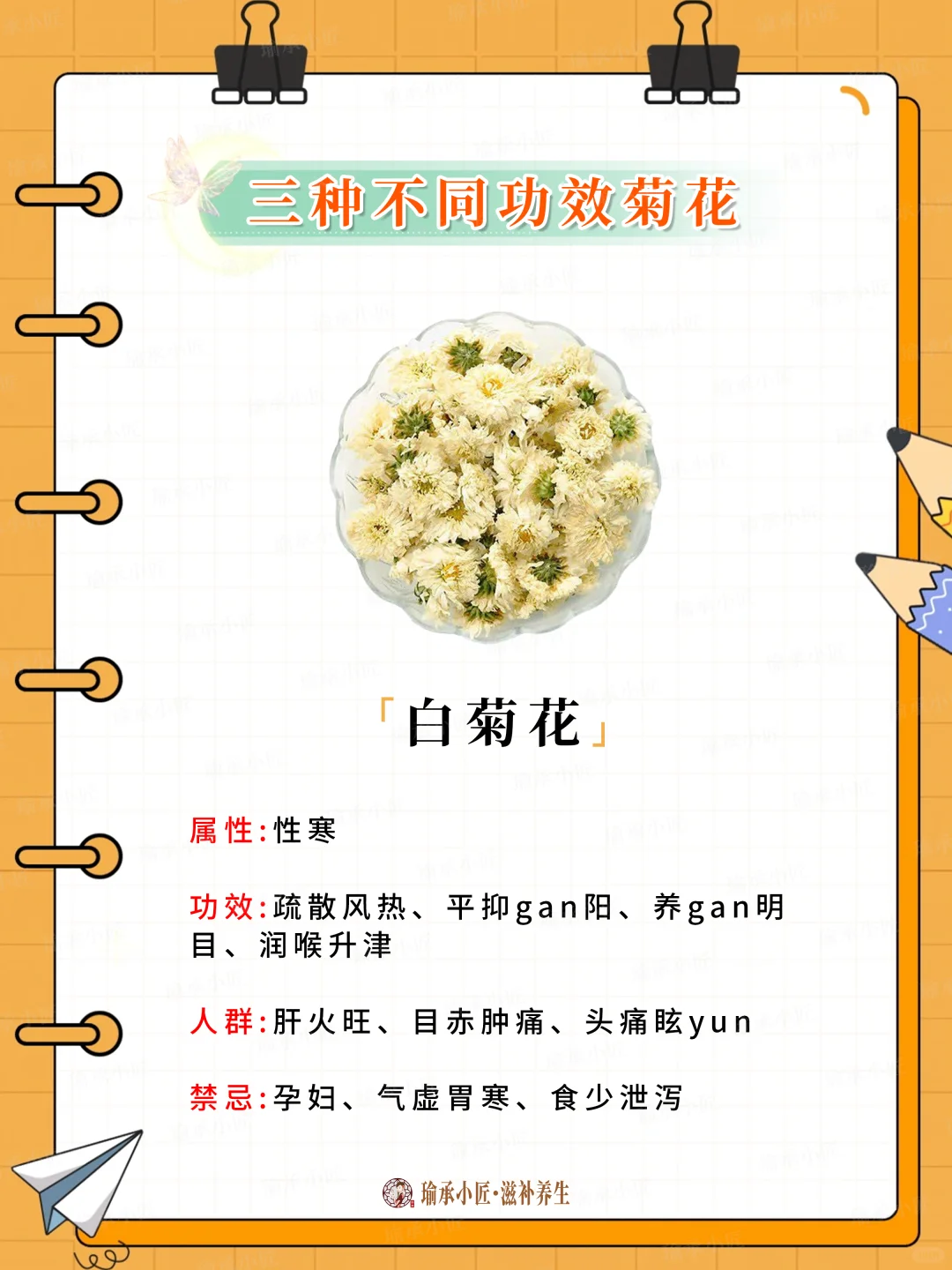 菊花茶功效可不同，你喝过哪种?