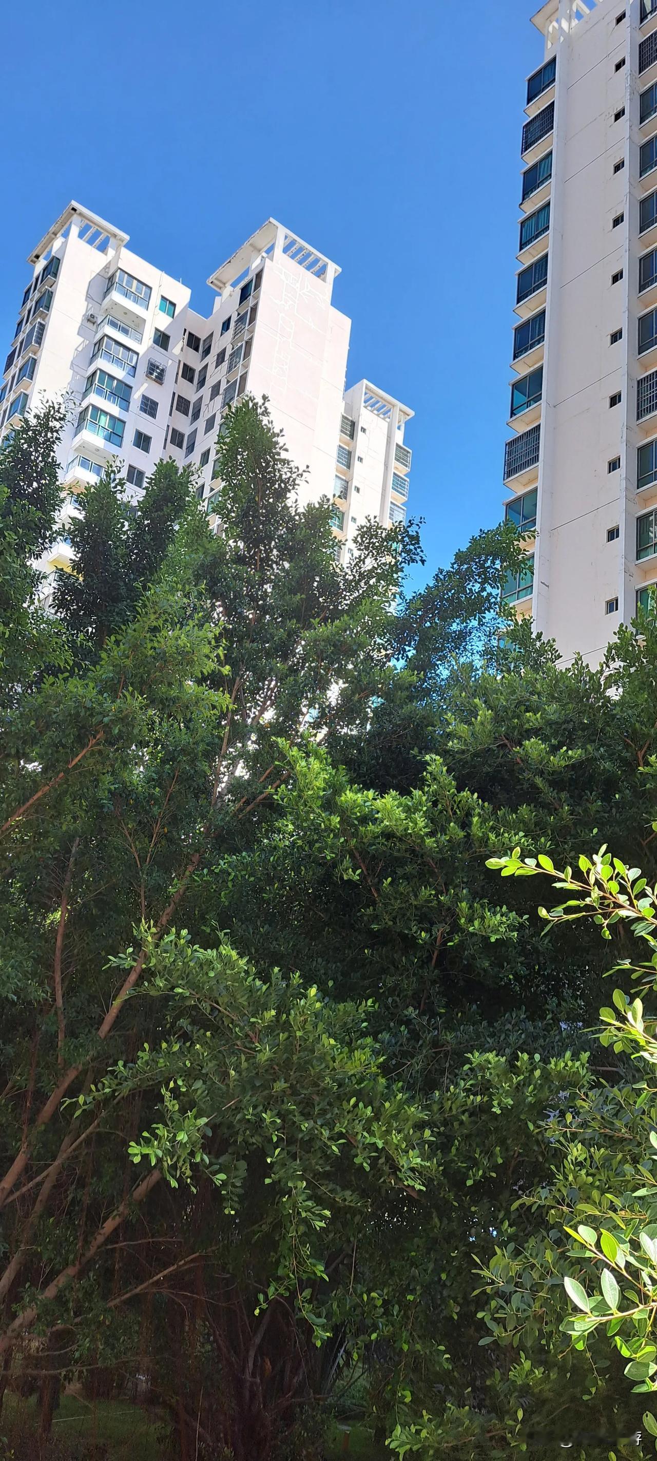 愿您心有清凉，
收获满满！
今日处署，
是盛夏与秋天的交接。
海南的天气，
仍然