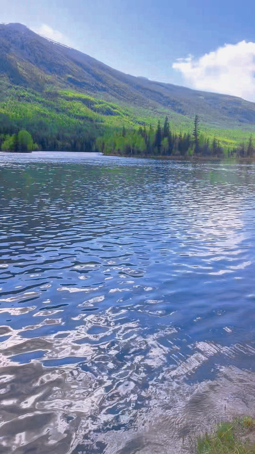 努力就有回报？抱歉，现实可能有点扎心。  我们从小听的道理，往往只说对...