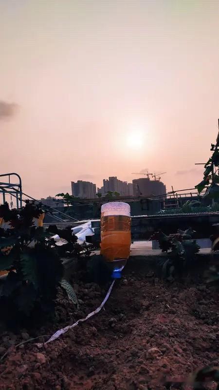 人过四十，如日过中天。

既然日过中天，那么就是开始走向太阳西下的衰退节奏！
