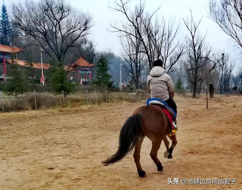 看到“马年骑马马上发”这个上联，感觉特别有过年那味儿，还带着满满的吉祥寓意。我来