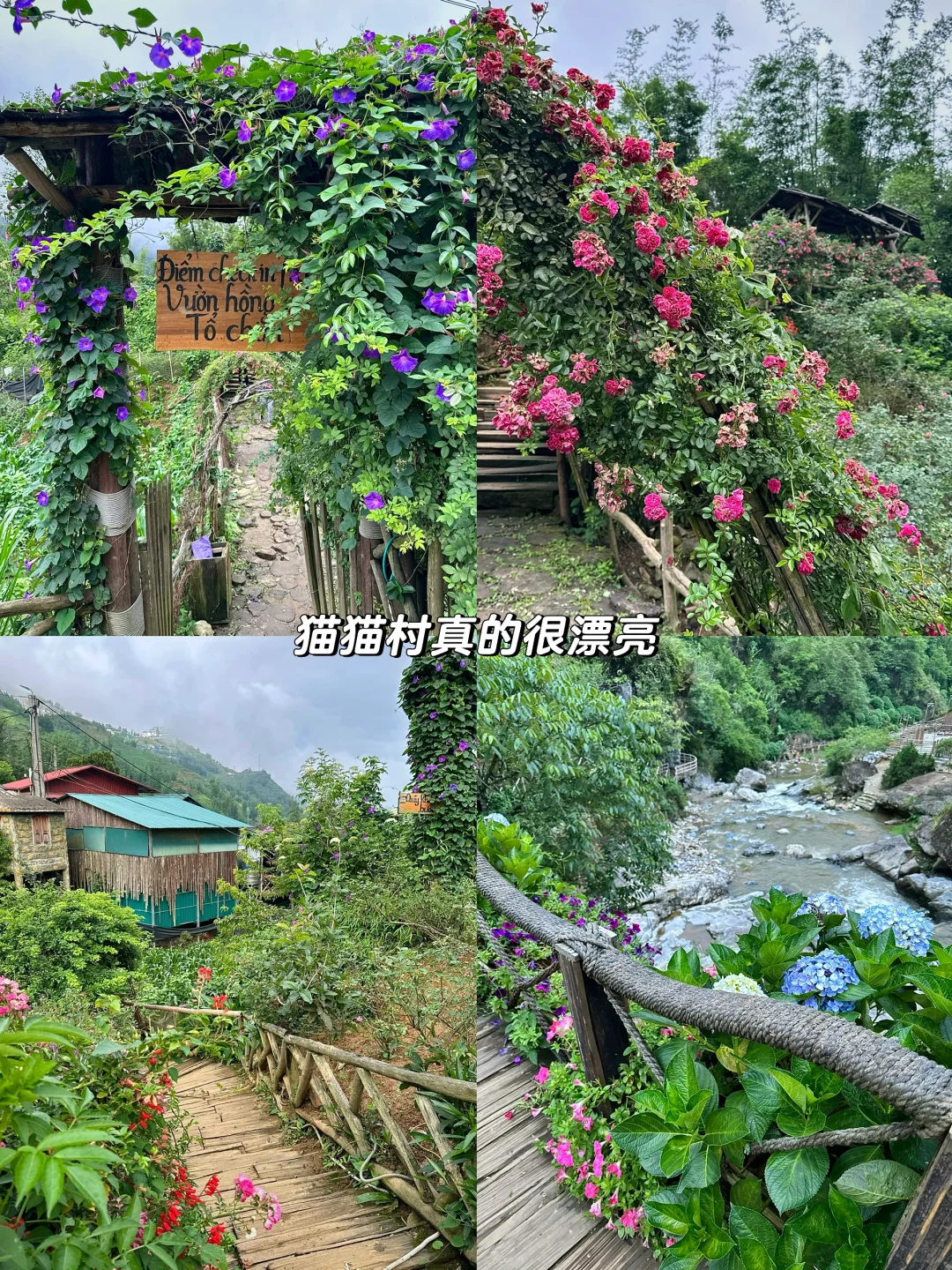 在越南沙坝的山野梯田间🍃感觉被治愈了❤️