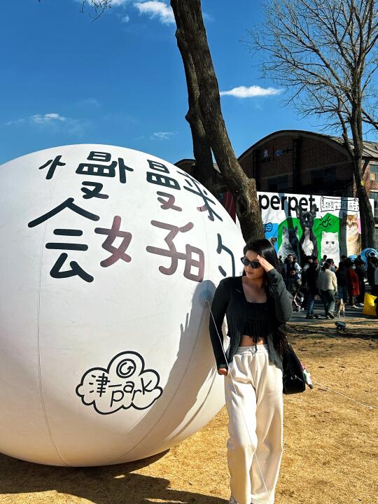 天津慢人聚集地‼️0r逛市集🎫宠物友好