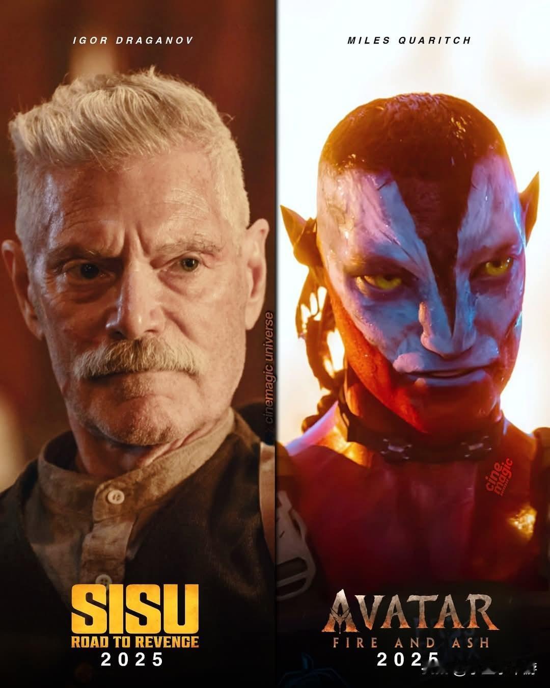 2025年属于伟大的史蒂芬·朗。

西苏:复仇之路（2025年）
阿凡达：火与灰