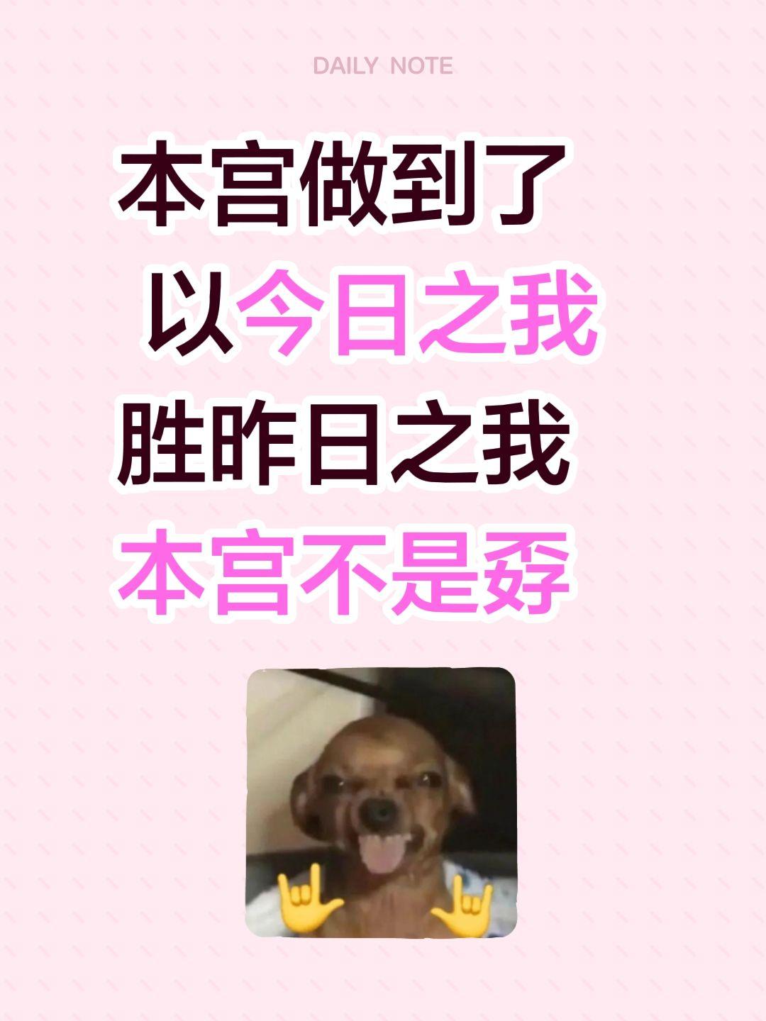 本宫做到了
 以今日之我
胜昨日之我
本宫不是孬种