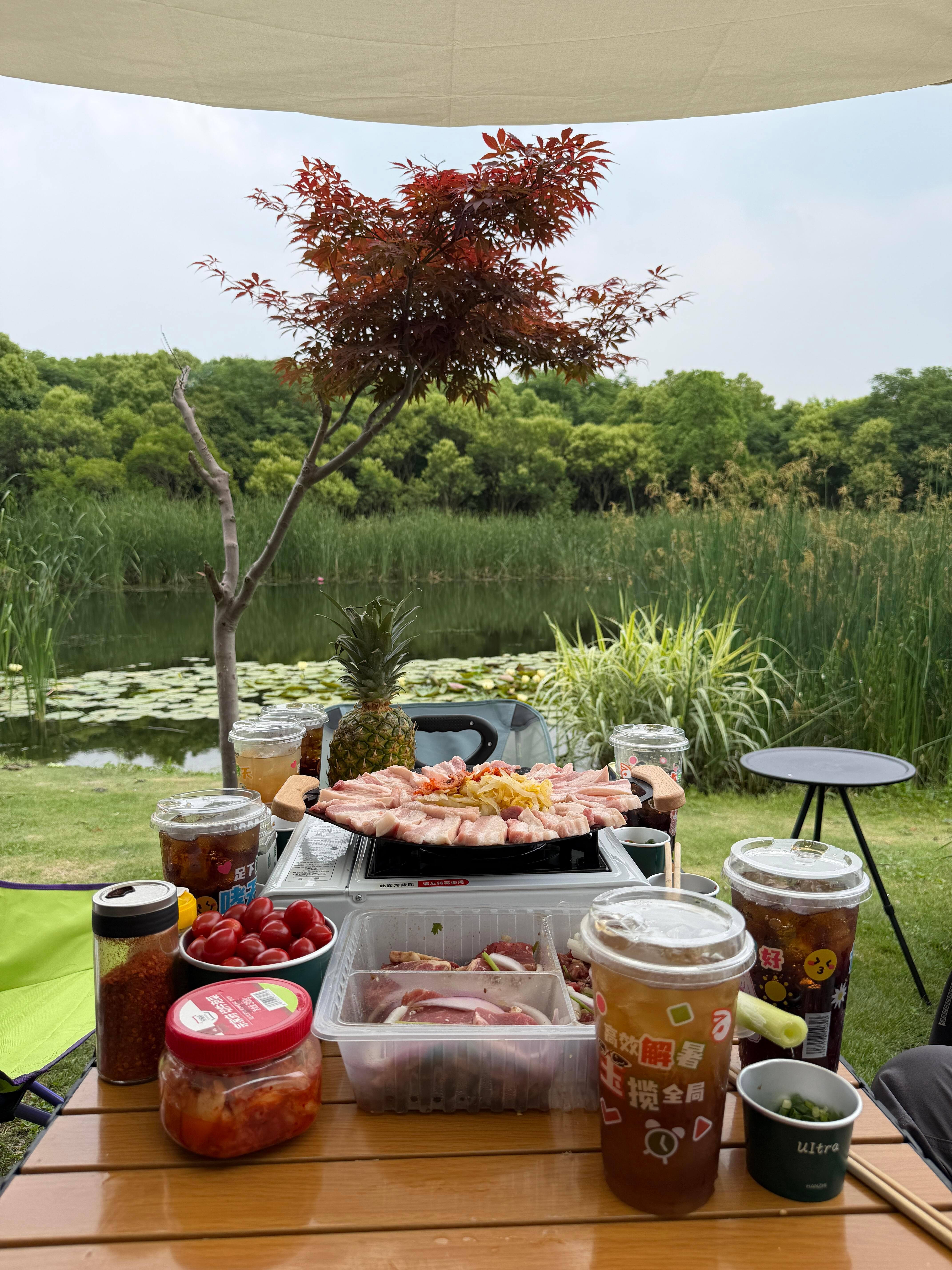 和风一起发呆,和阳光碰个杯。 