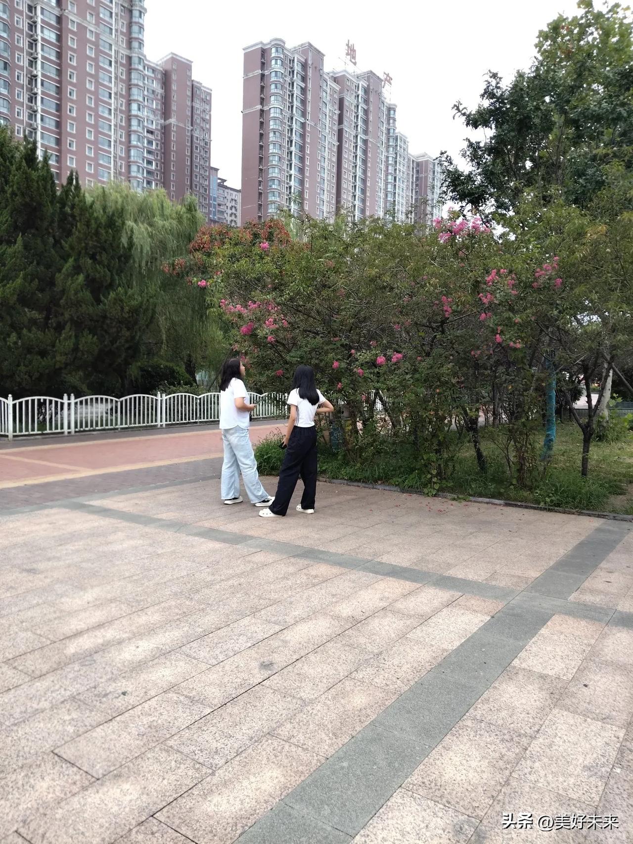 小区一隅，满是惬意。步道旁，紫薇花树缀满粉花，在绿叶间探头探脑，活泼又娇艳。微风