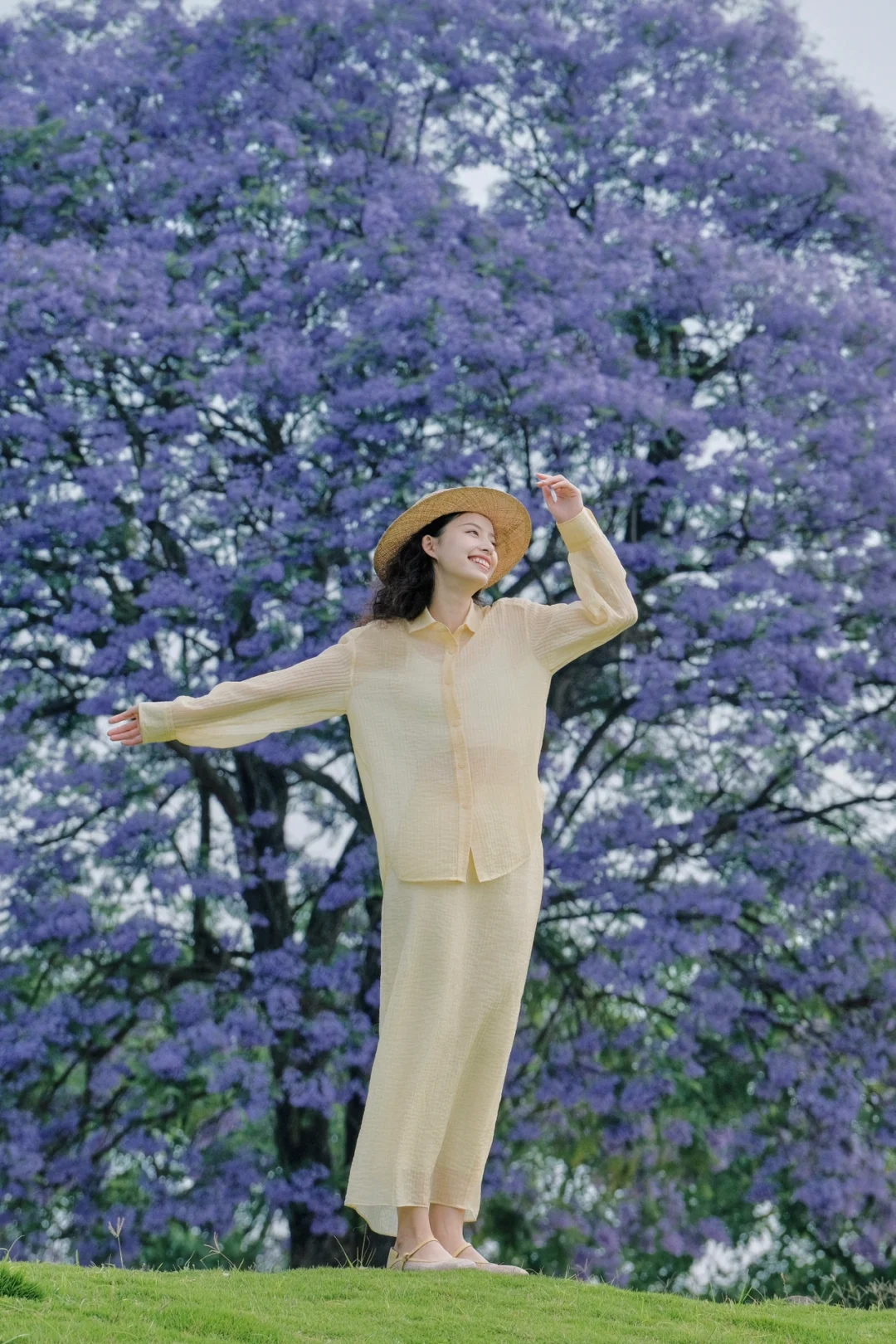 重庆这棵盛开在湖边的蓝花楹，美了100年