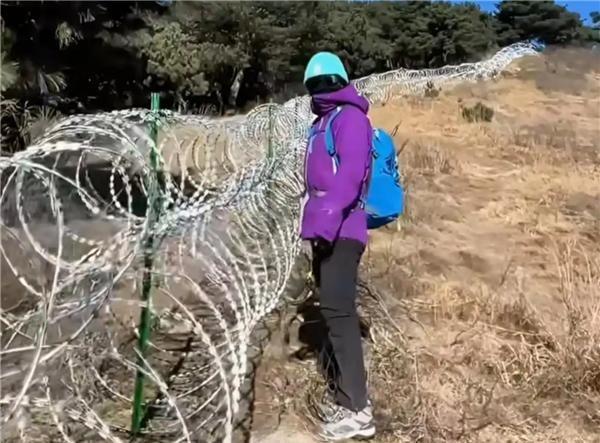泰山铁蒺藜工程耗时六年、花费两千五百多万，却在全线竣工不足半年后匆忙拆除。公共资