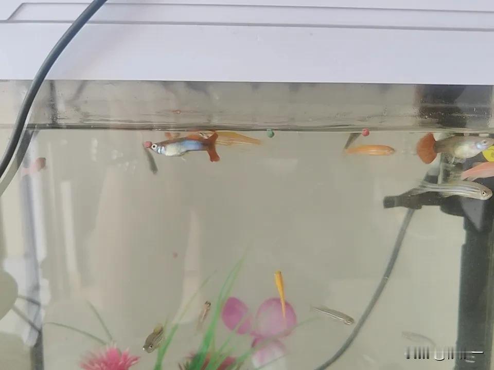 不知道从什么时候开始，我慢慢的习惯了一个人，我们做父母的，应该是上善若水，为了孩