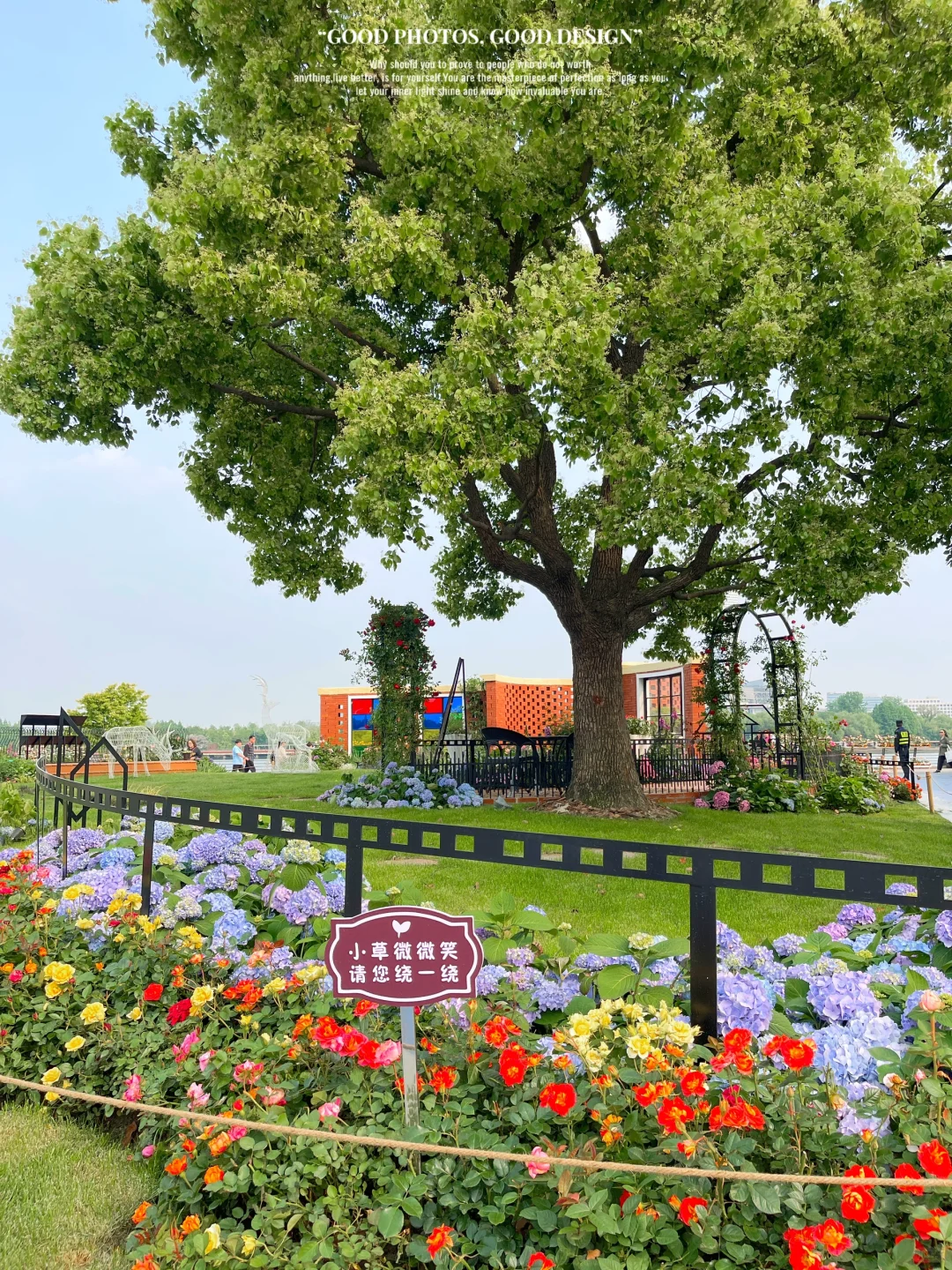 上海Citywalk🚶‍♀️属于徐汇滨江的夏天💚
