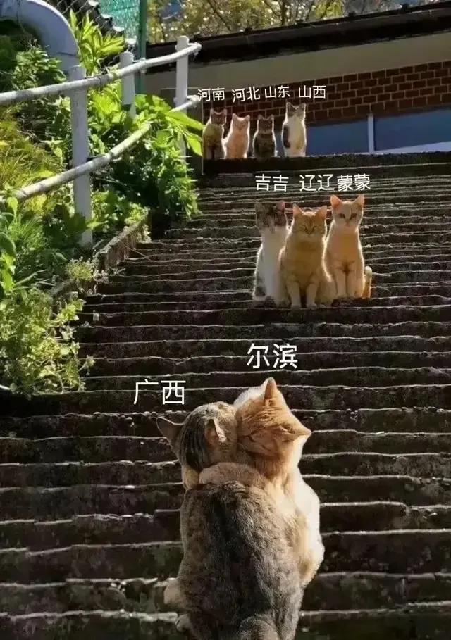 广西：     尔滨…
哈尔滨：表妹…
广西：    尔康…
尔滨：    请叫