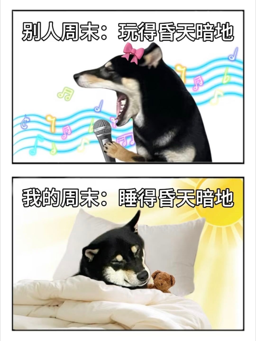 周末计划vs实际周末周末计划花样百出，现实全程躺平摆烂✨出门打卡？不存在的！全身