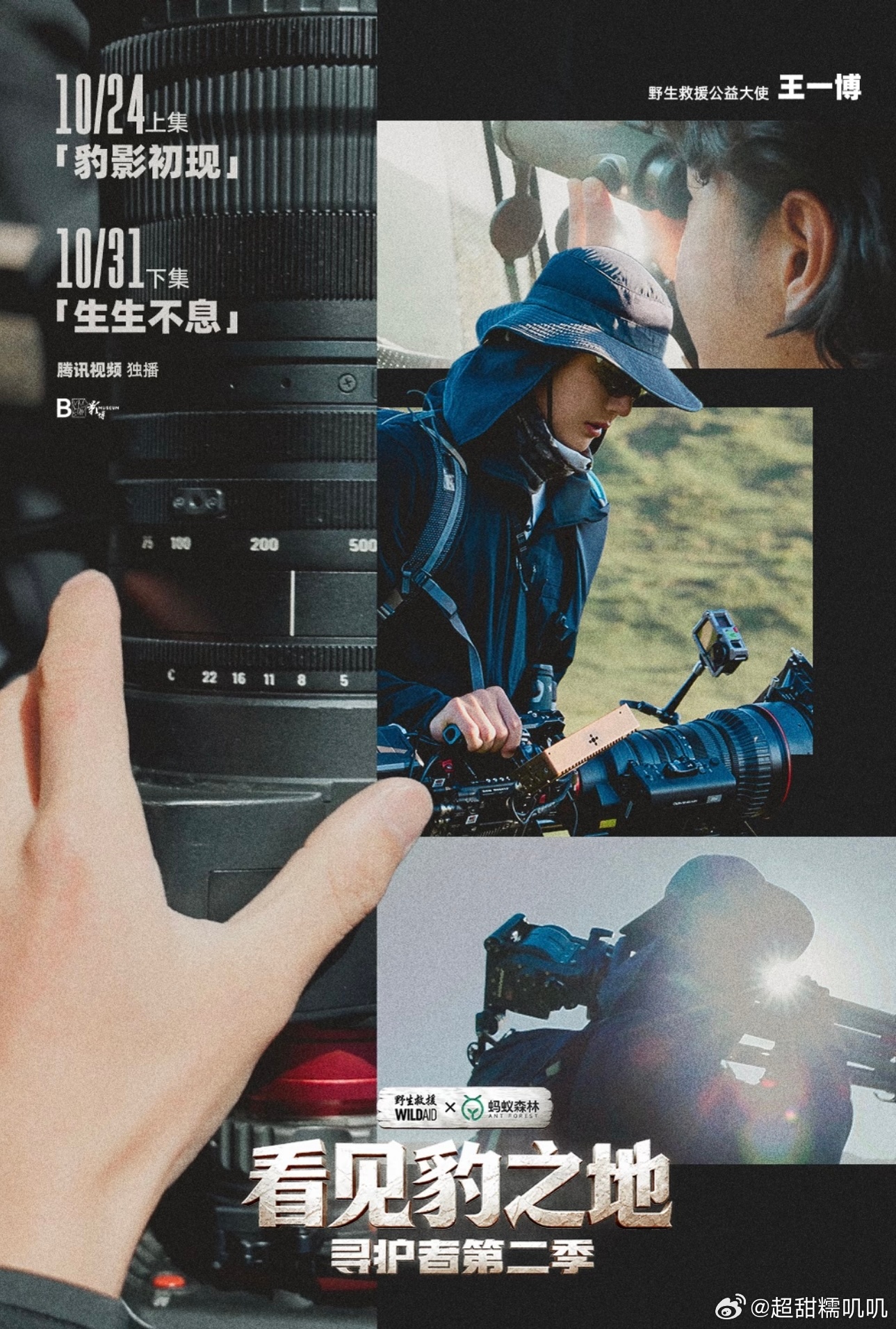 哇哇哇码住🌿看见豹之地 纪录片首映分享会将于15:30开启直播4个地方可以看直