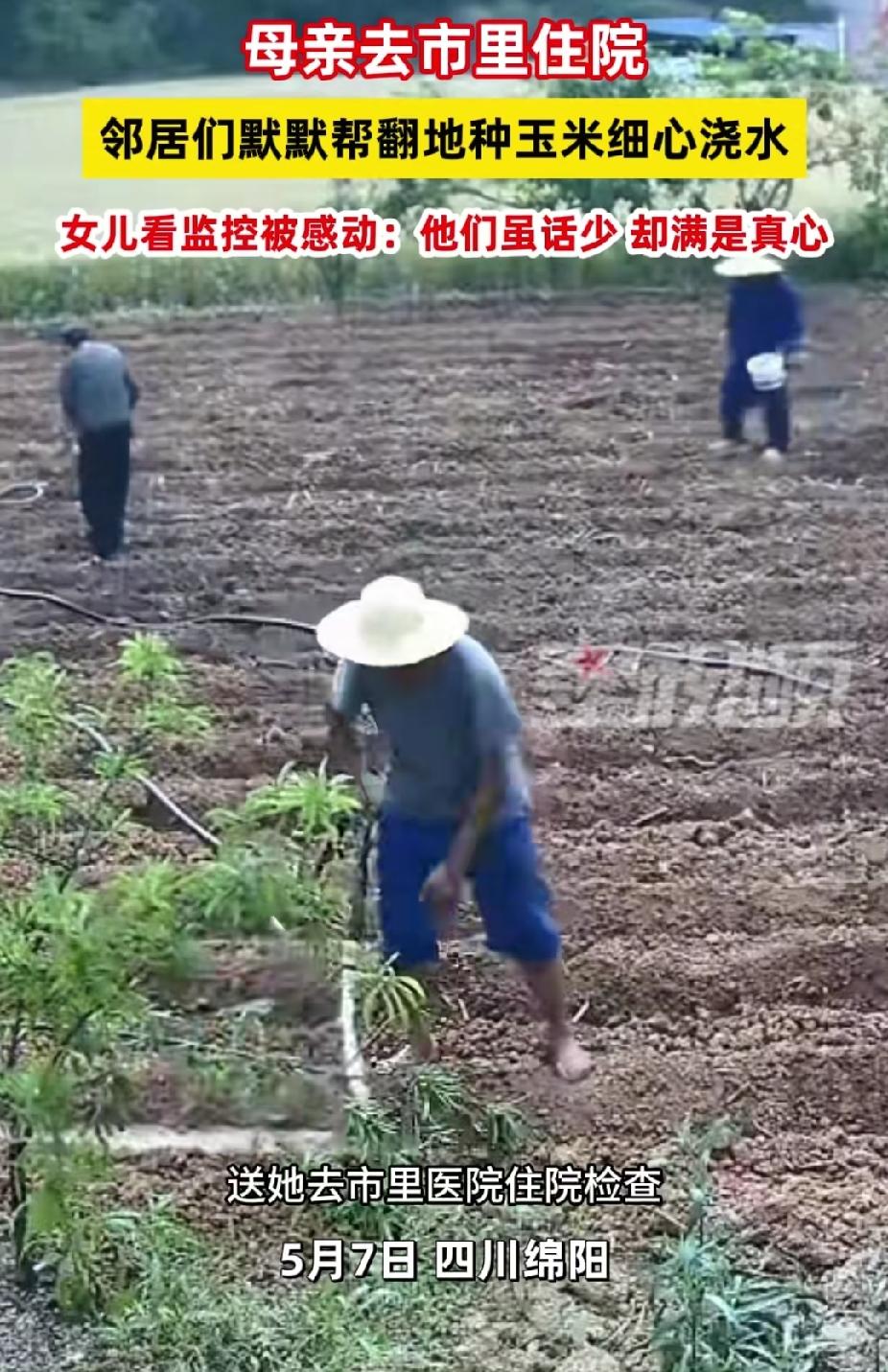 太暖了！四川绵阳，女子送妈妈去医院住院。没想到，她回来，发现庄稼地已经翻好了。她
