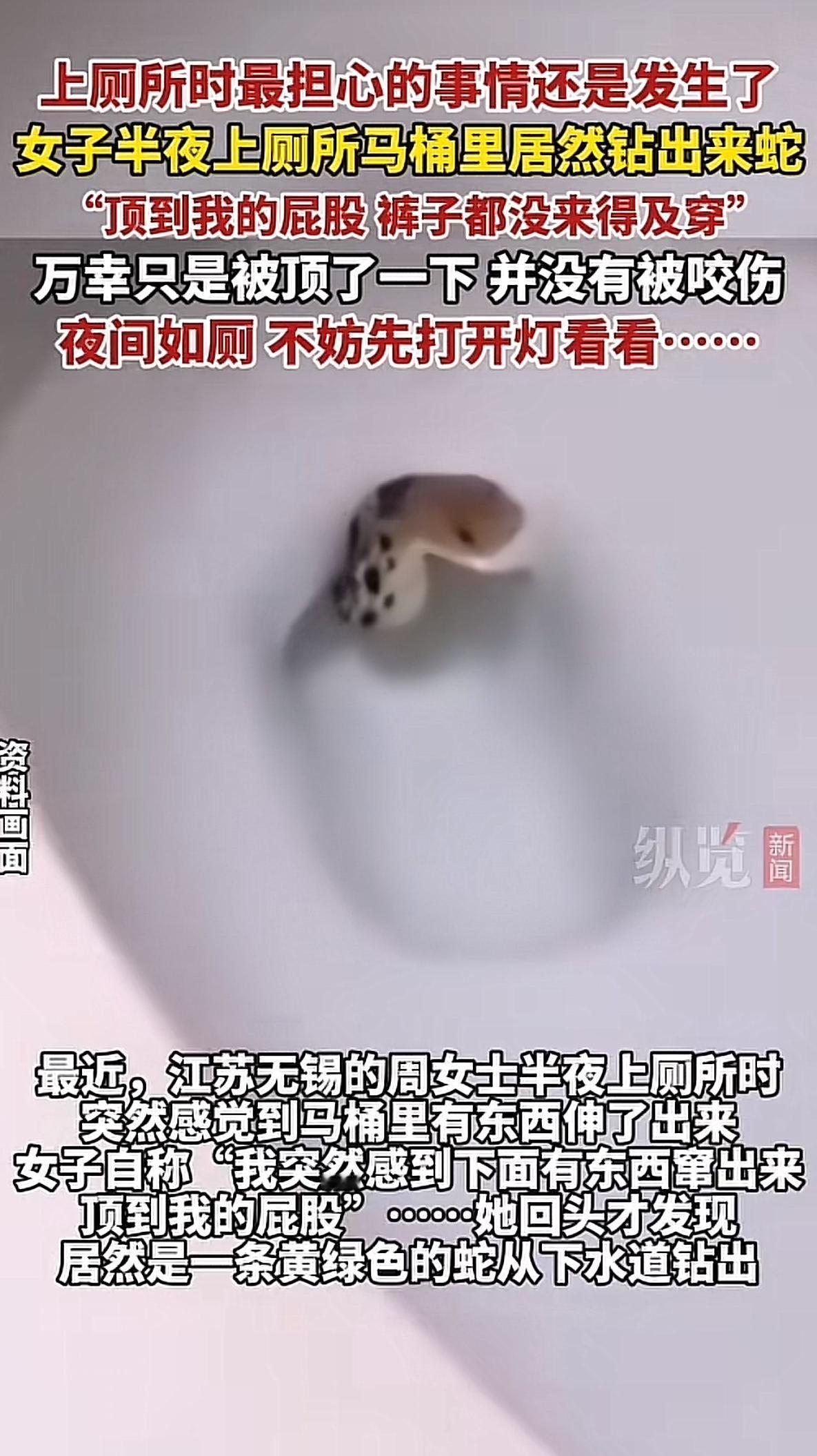 江苏一女子半夜上厕所，突然感觉下面有东西伸出来，顶到了皮燕子，那触感带着鳞片的粗