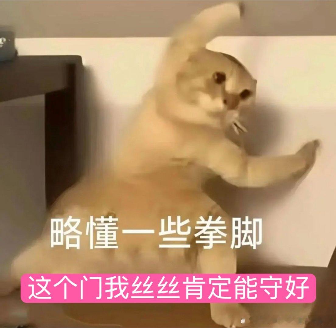 功夫女足娥眉队现实中也身怀绝技周星驰介绍新人演员好真诚 全员身怀绝技娥眉队演员实