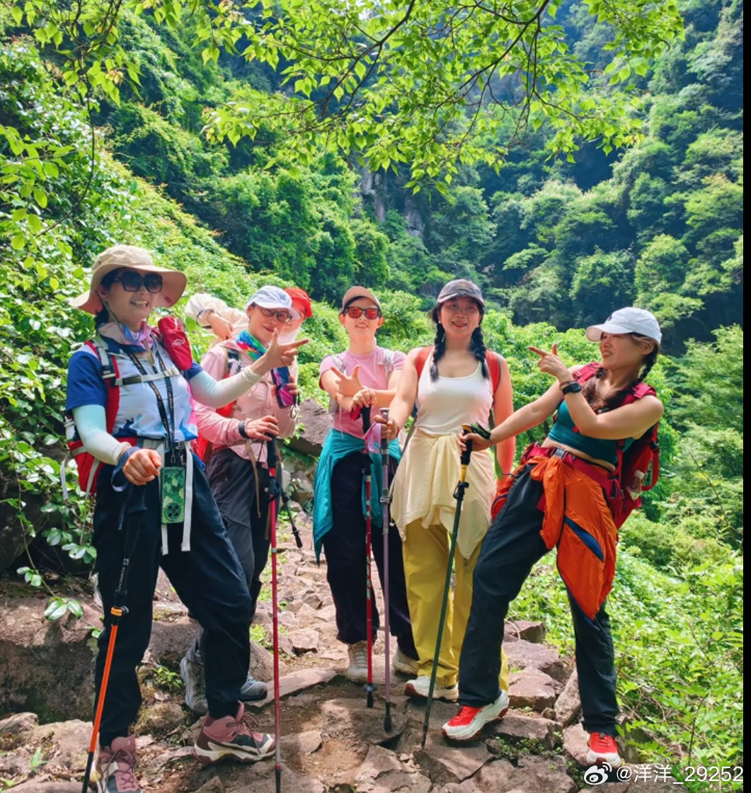 洋洋高锐，山花烂漫、吗◎今夜……无眠不为别的只为……寻觅前世的缘◎前世的缘……吗