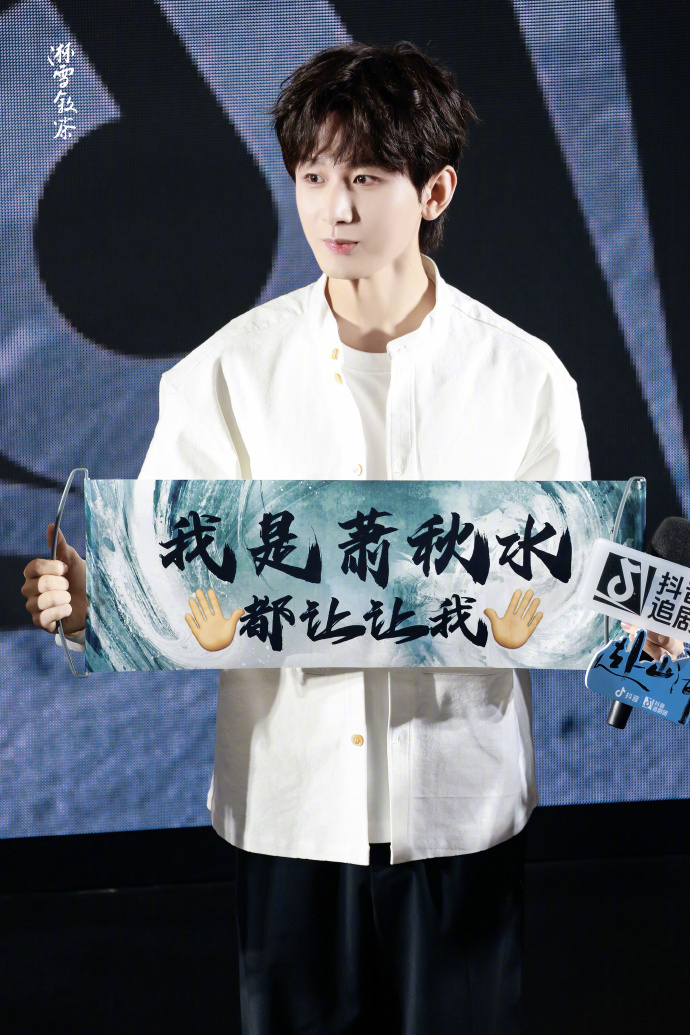 一年下来，似乎观众心目中只有两部剧的存在了，一部是肖战的藏海传另外一部是成毅的赴