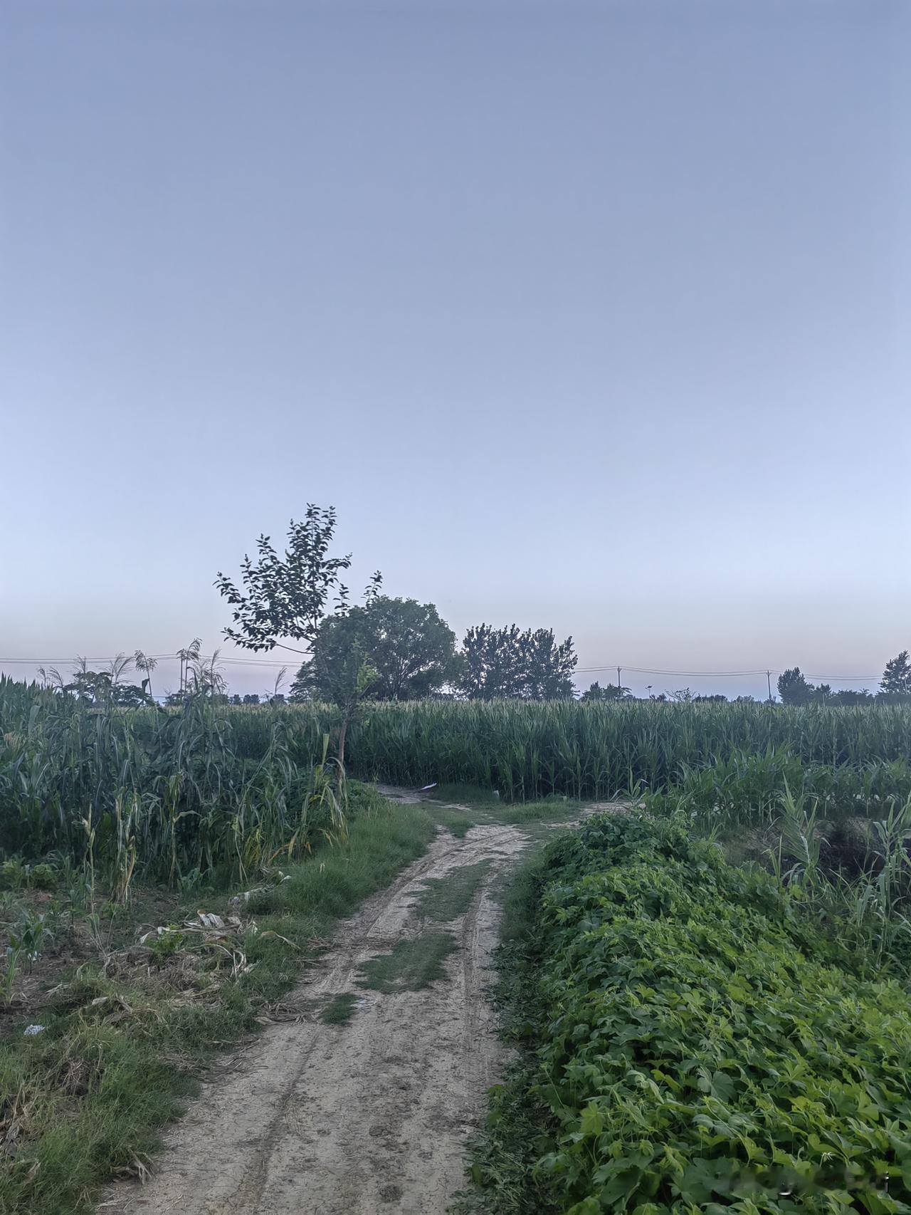 不管是瑞幸从财务造假到退市，再到换了管理层东山再起，还是爱奇艺从当年短视频当红辣