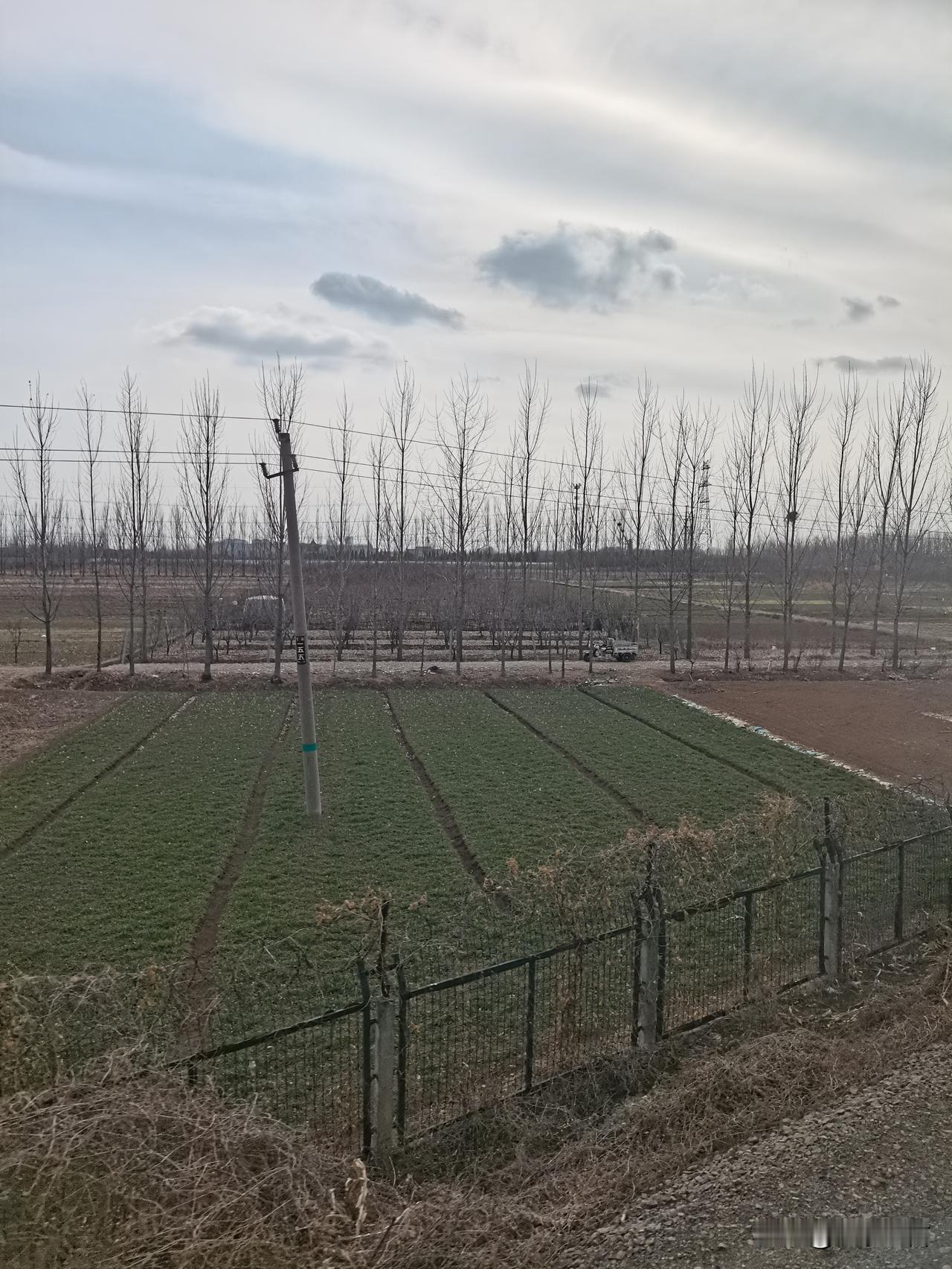 鲁南农村的真实景象，确无可圈可点处。尤其冬天，草枯叶落，更少了南方农村那种生机。