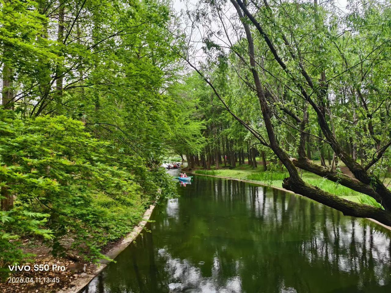 这个公园还不错，
风景美如画，应该去看看。

春日迟迟，卉木萋萋。如此多雨的四月