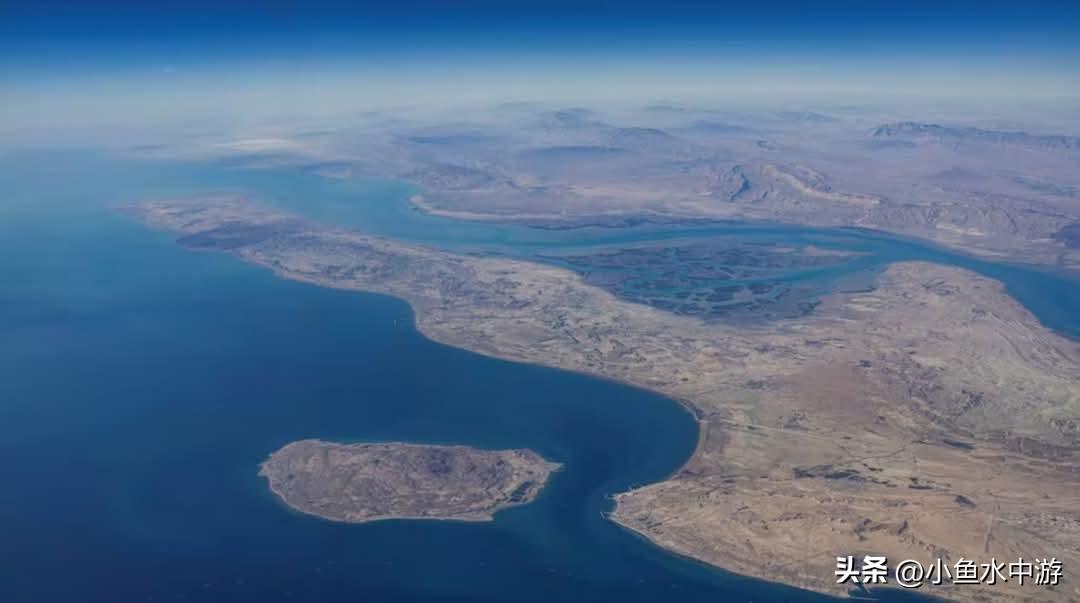 英国已向美国派遣军官，协助制定重开霍尔木兹海峡的计划。