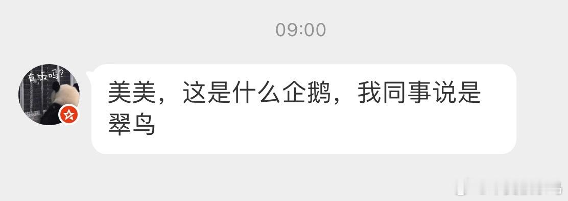 来，一起记住它的名字！红尾水鸲qú！对，宏伟水渠！ 