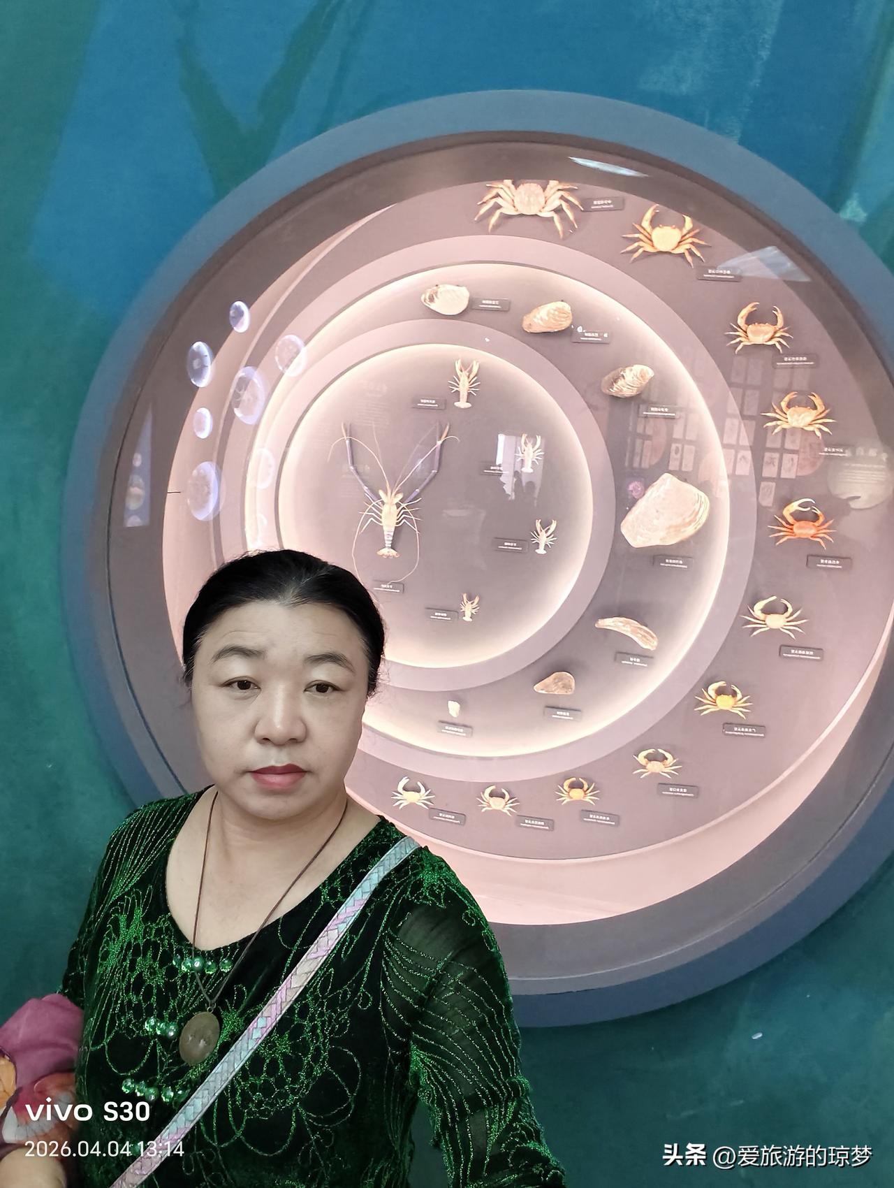 随手拍张照