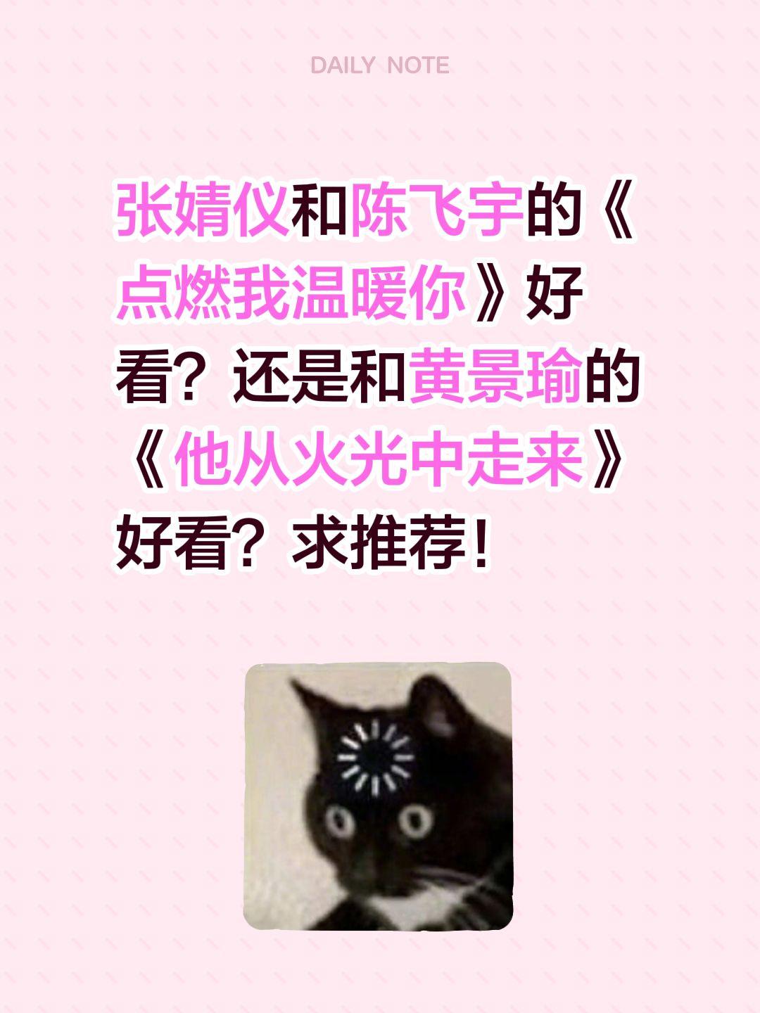 张婧仪和陈飞宇的《点燃我温暖你》好看？还是和黄景瑜的《他从火光中走来》好看？求推