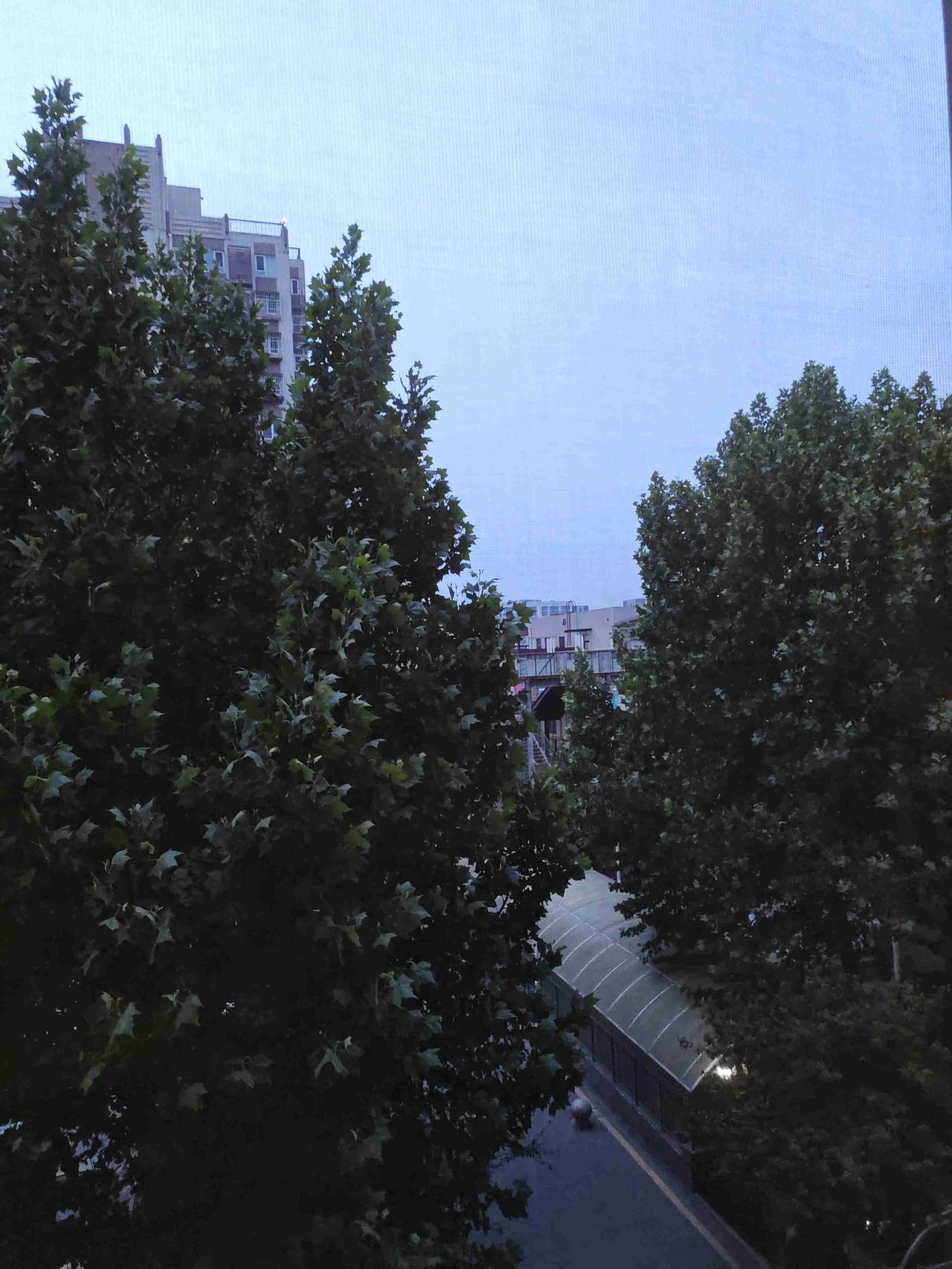 我的今日状态：🐯虎虎生威
我这里的天气：☀️晴天
天气预报今天有雨
现在感觉是