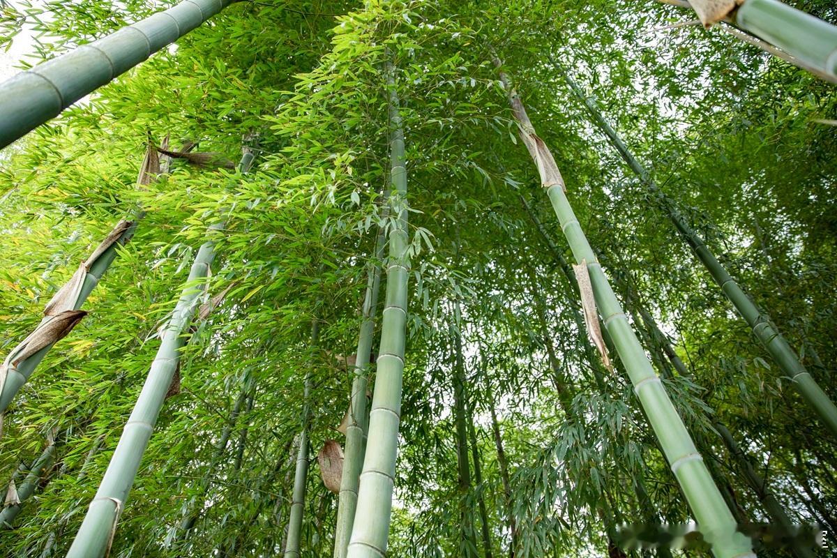 天使投资每年的收益其实是与风险投资旗鼓相当的每笔投资天使投资投不多，但可参与更多