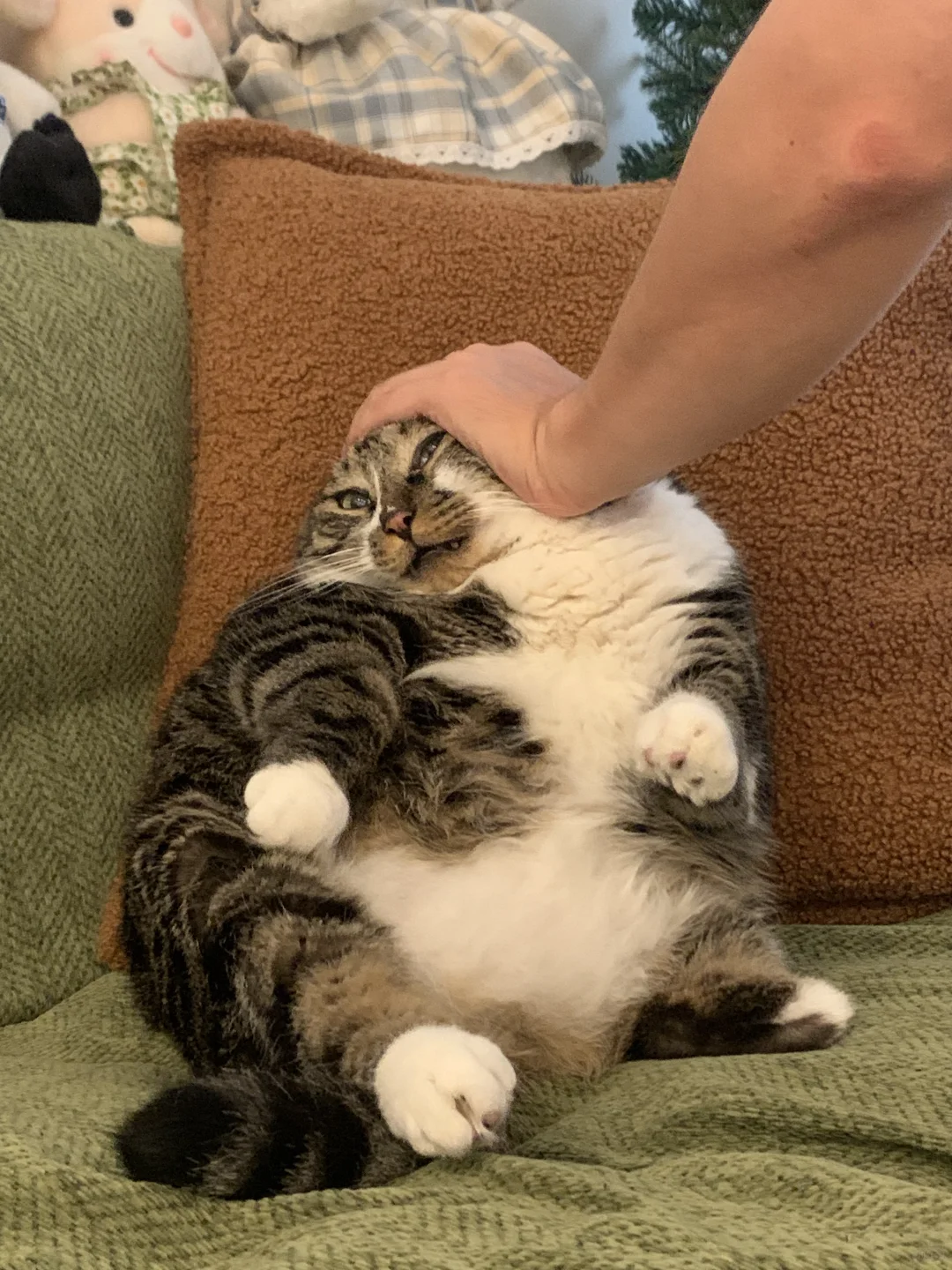 看见我男朋友就跑 被我男朋友一把按住