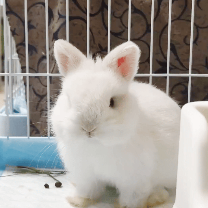 笑使人了，又让打工人出来背黑锅了，来年不第一排，阿飞阿伟不出来下跪咱是不去了（我