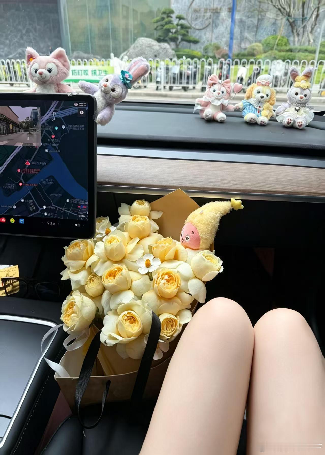 真正的特斯拉车主到底是什么样子的银儿特斯拉