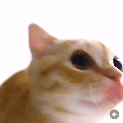 诶 我才想起来还买了古墓丽影 ​​​