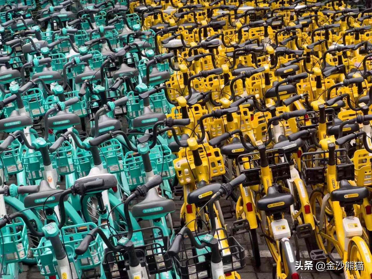 色彩阵营
图文：白冰