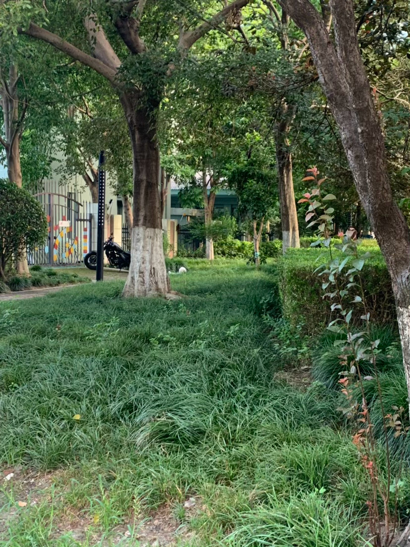 管闲事刚出楼道碰到保洁阿姨：早呀，今天上班吗？上上班远吗？还可以每个月多少钱？太