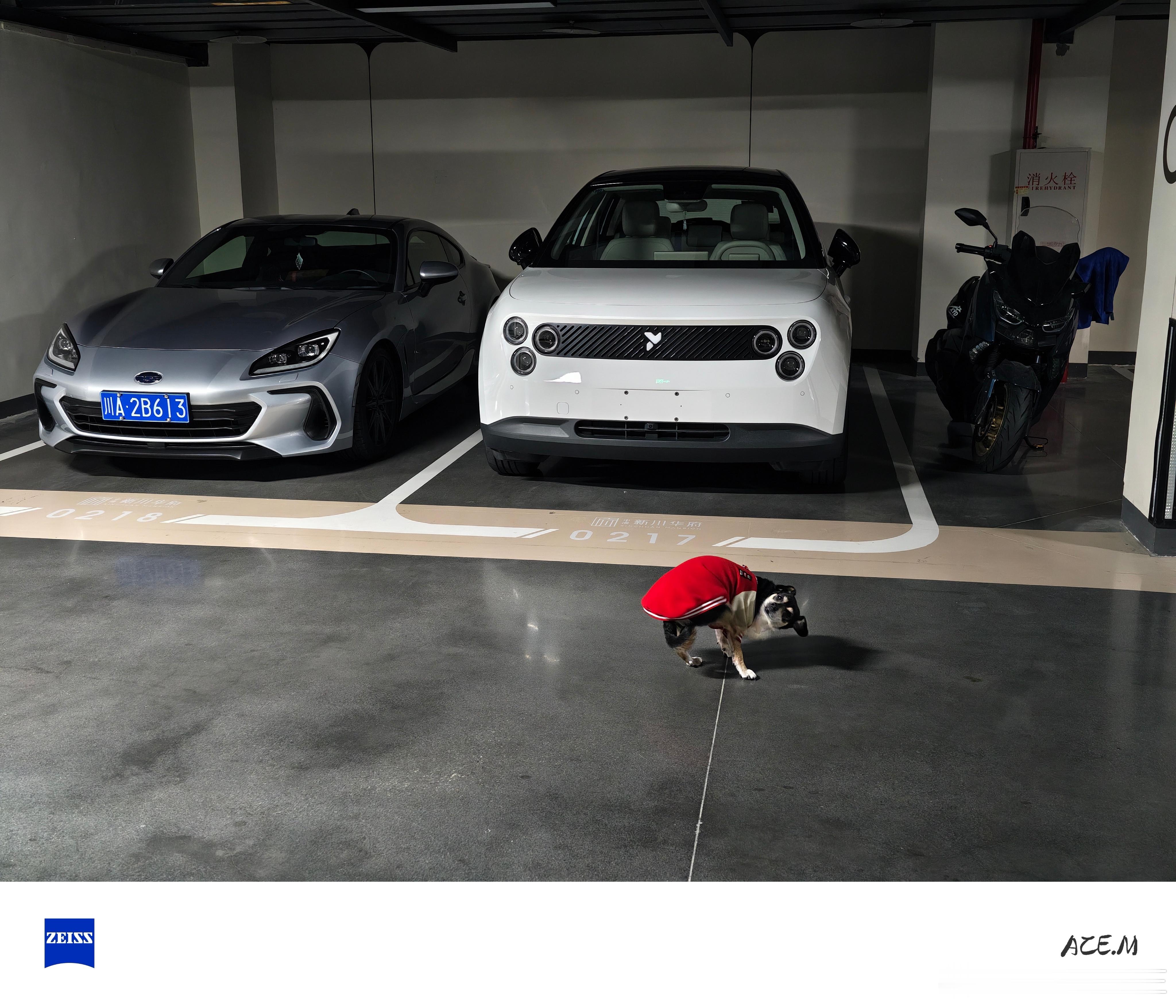 这虫子真好看，白色真没选错主要是不花钱 免费色