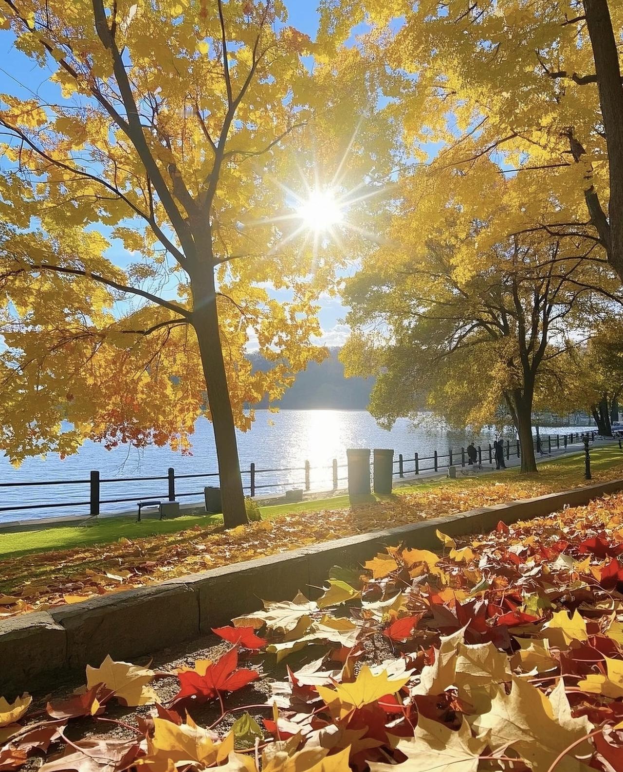 长久的爱情真正需要的是什么彼此间的理解和包容。年纪渐长后才发现，什么外貌、身高都