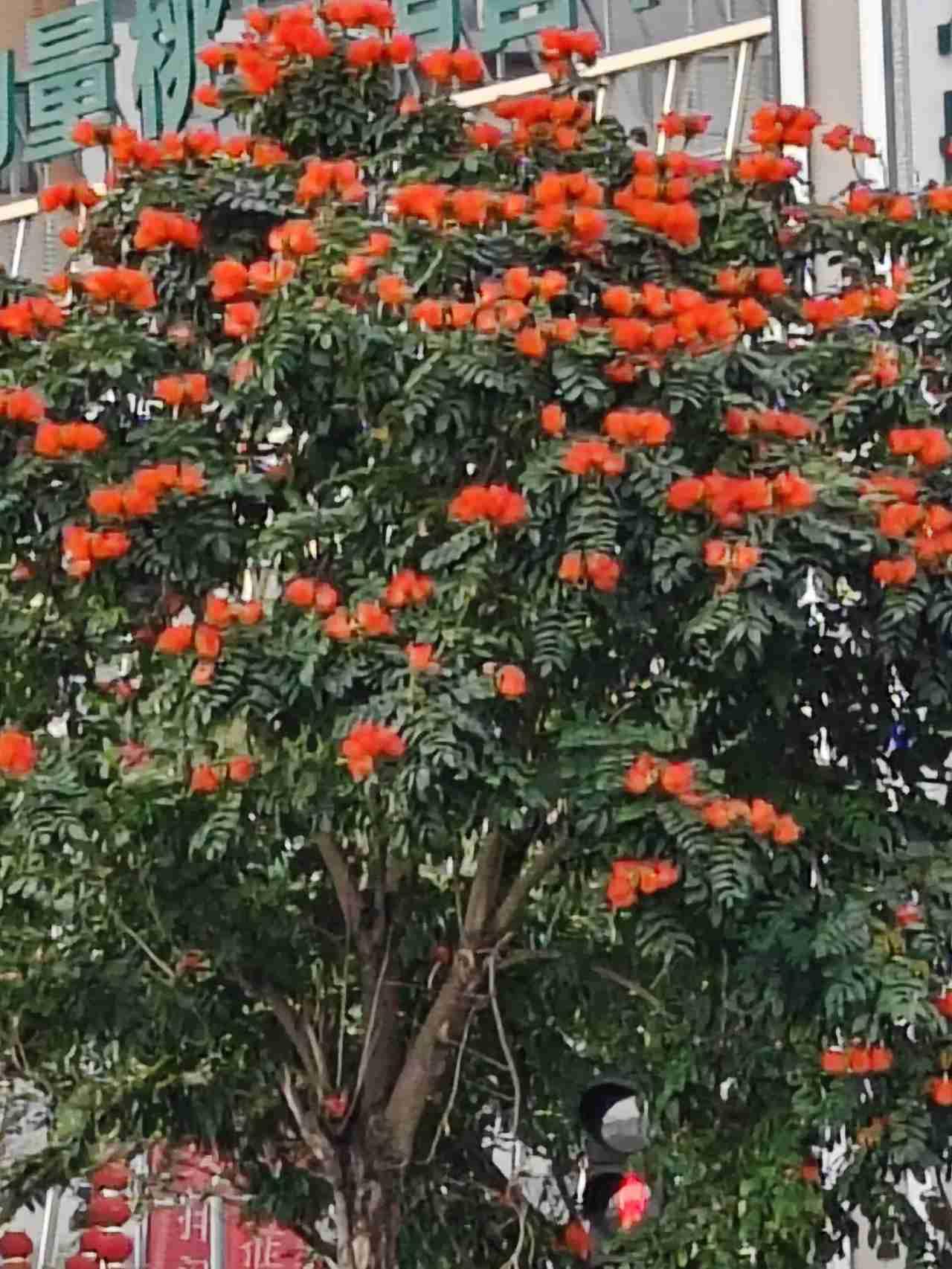 我的今日状态：😁轻松愉快
我这里的天气：☀️晴天