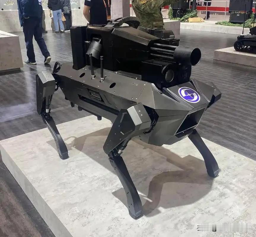 我们有幸看到这样的变化率先出现在解放军中，无论是和新加坡的演习还是和越南的演习，