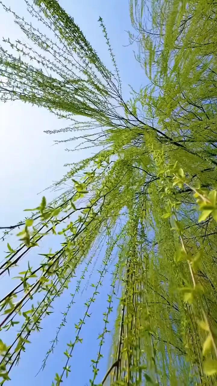 万种调料不如盐，万般人情不如钱。盐能提味，钱能兜底。没盐再贵的菜也寡淡无味，没钱