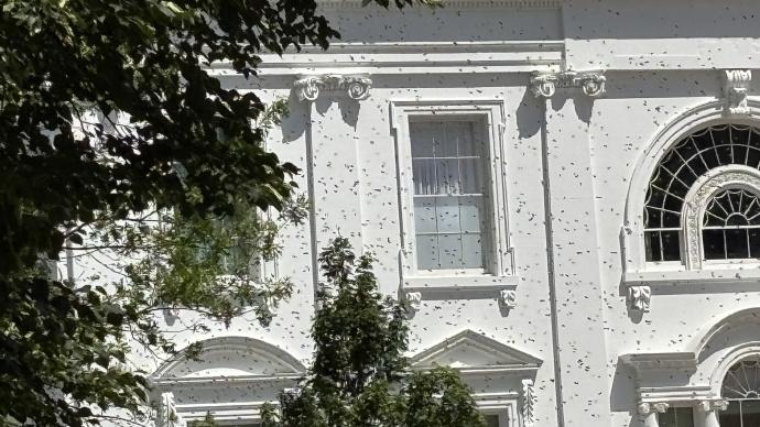 特朗普回白宫以后一看天塌了？白宫竟然被“围攻”了，特朗普又多了一条要修园子的理由