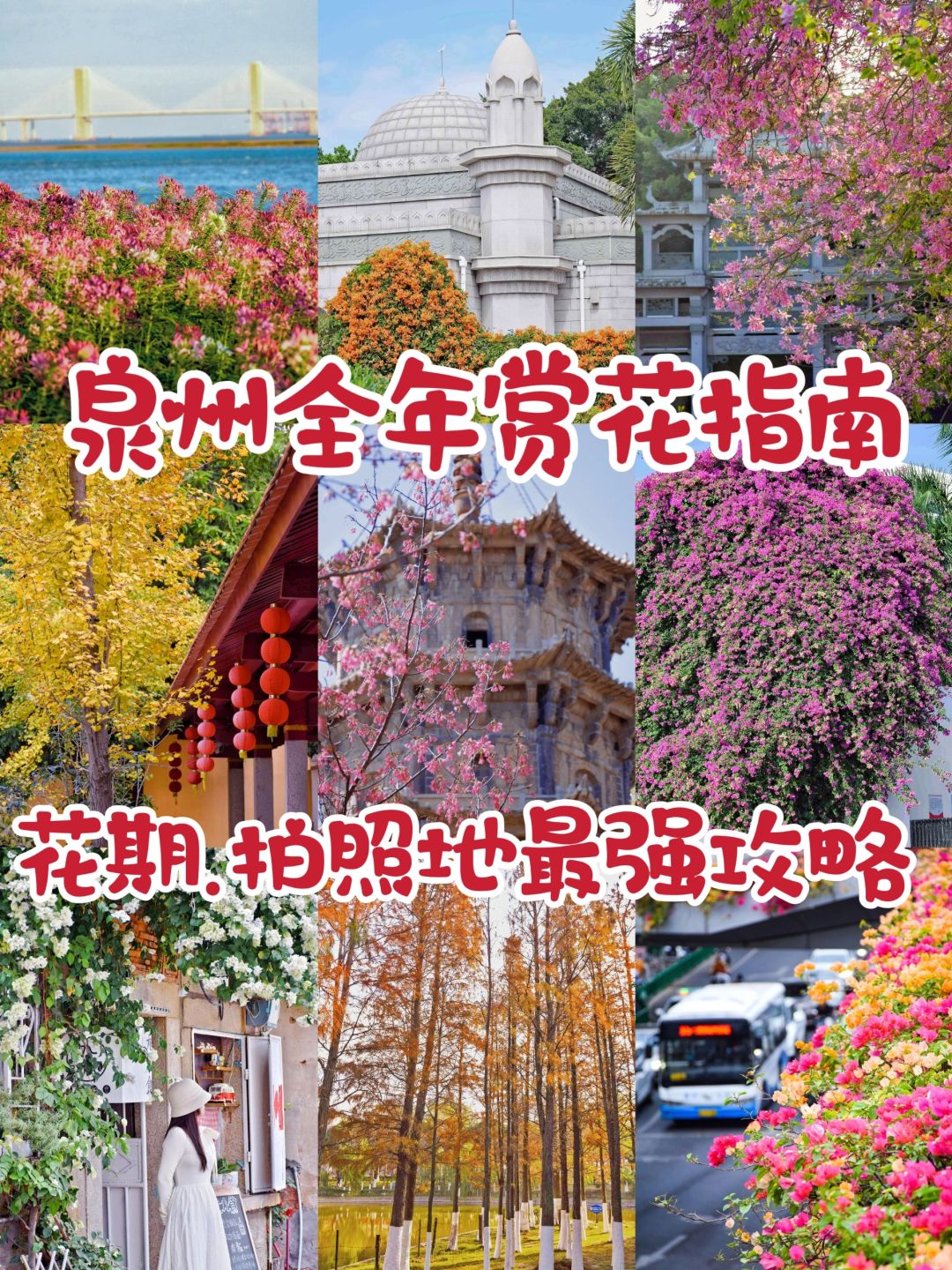 小众拍照地🌸泉州全年赏花指南游玩攻略
