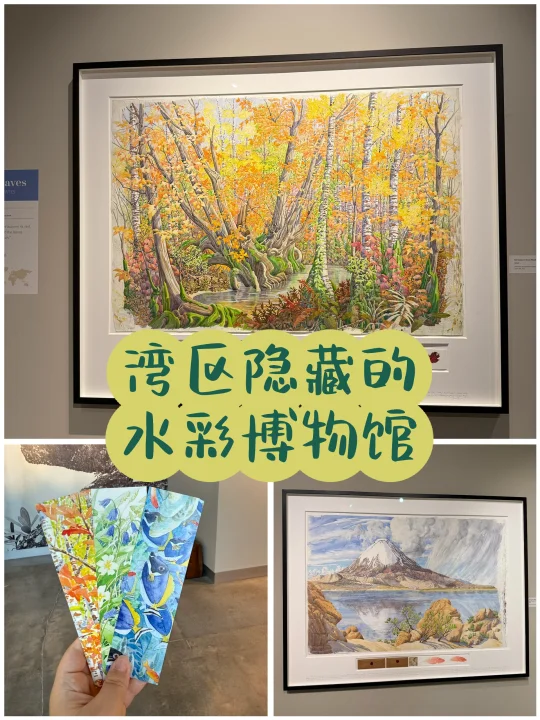 湾区隐藏的免费水彩博物馆！探险家的美作