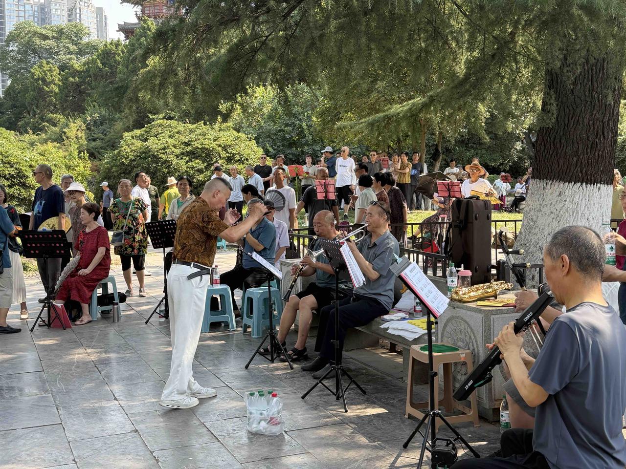 今天上午，高温天气下的西安兴庆宫公园，游人稀少；然而，在沉香亭北面唱歌的雪松合唱