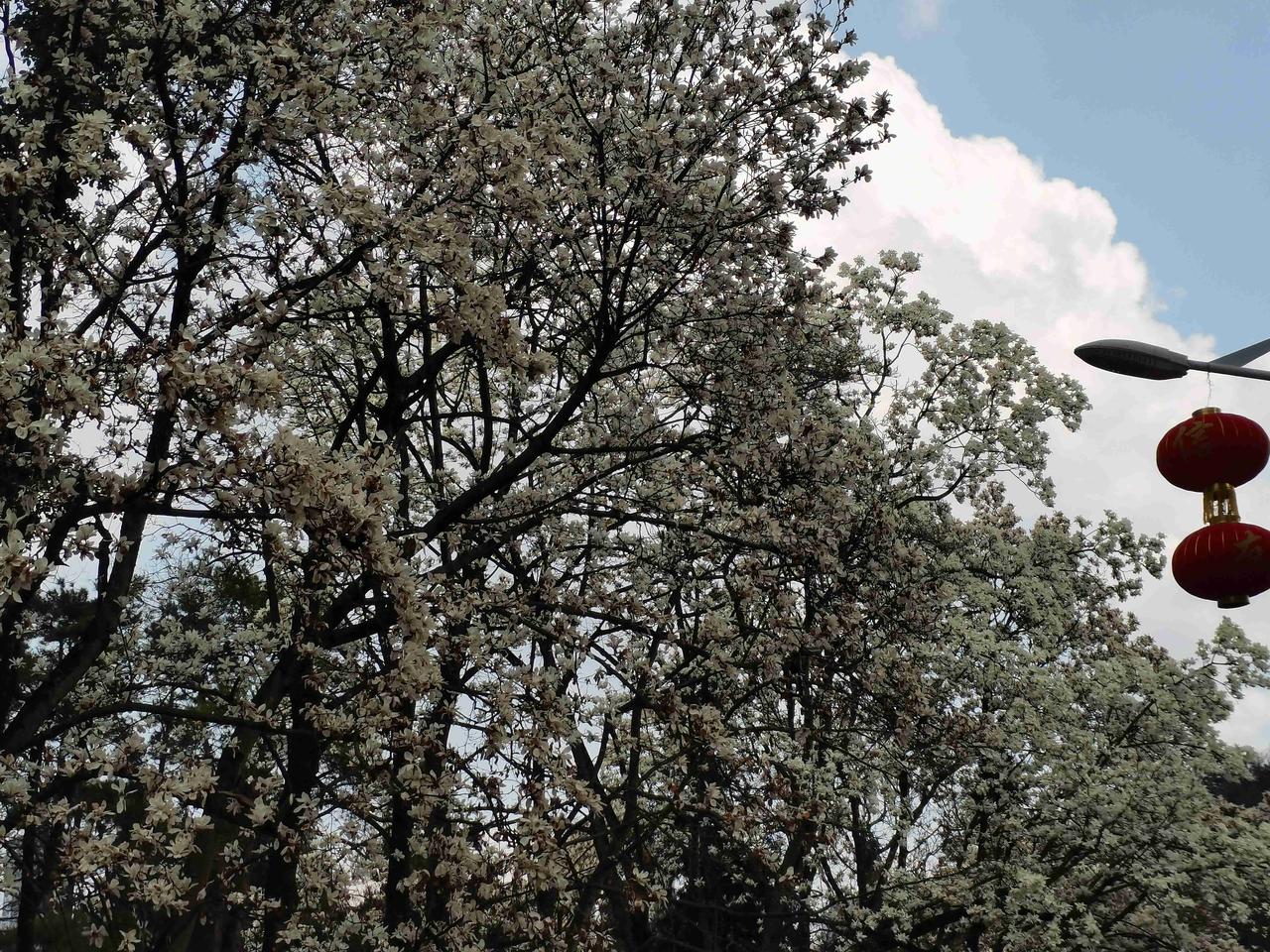 我的今日状态：😁轻松愉快
我这里的天气：🌈雨过天晴